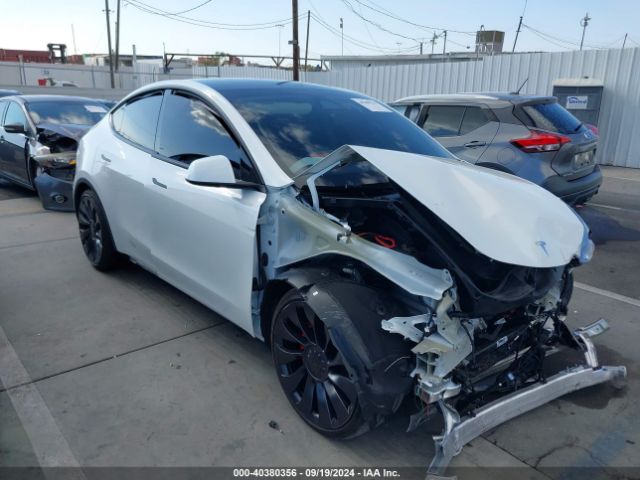 2024 TESLA Model Y