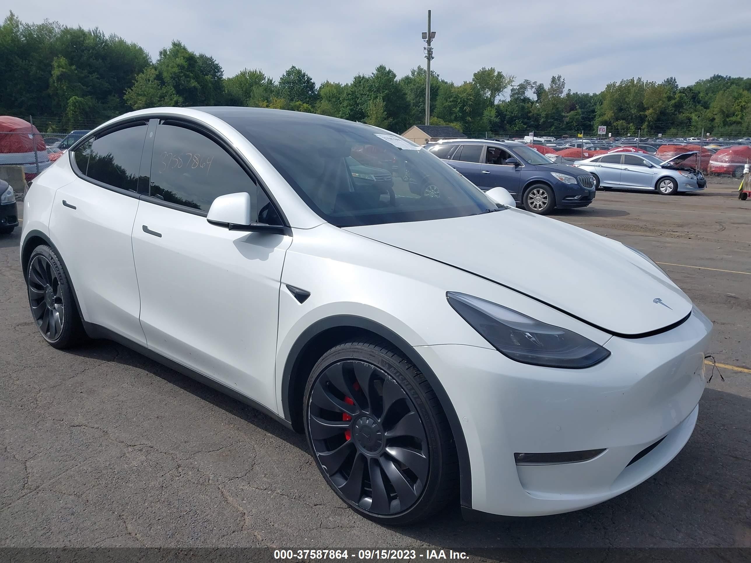 2022 tesla model y