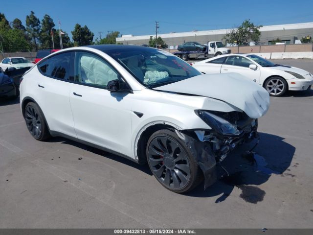 2023 TESLA Model Y