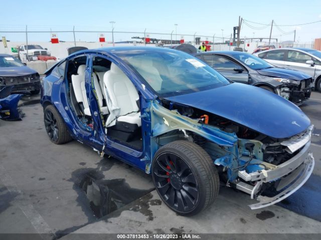 2022 tesla model y