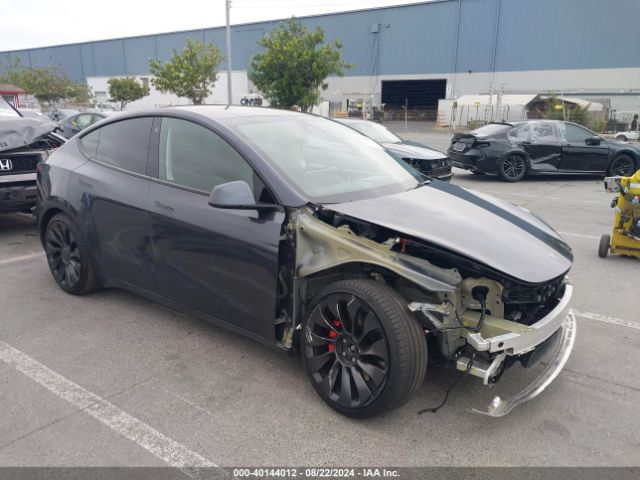 2022 TESLA Model Y