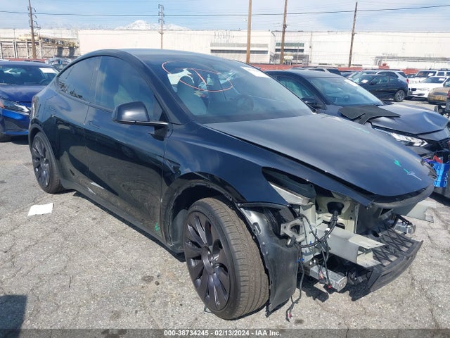 2023 tesla model y