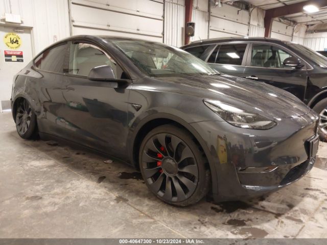 2024 TESLA Model Y
