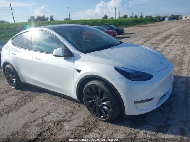 2024 TESLA Model Y