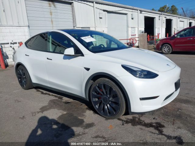 2023 TESLA Model Y