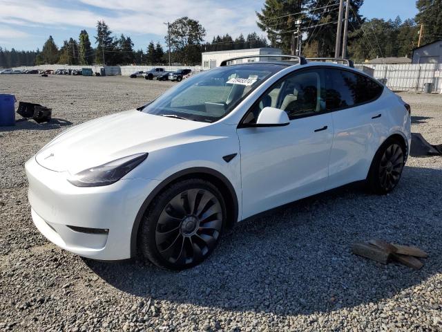 2023 tesla model y