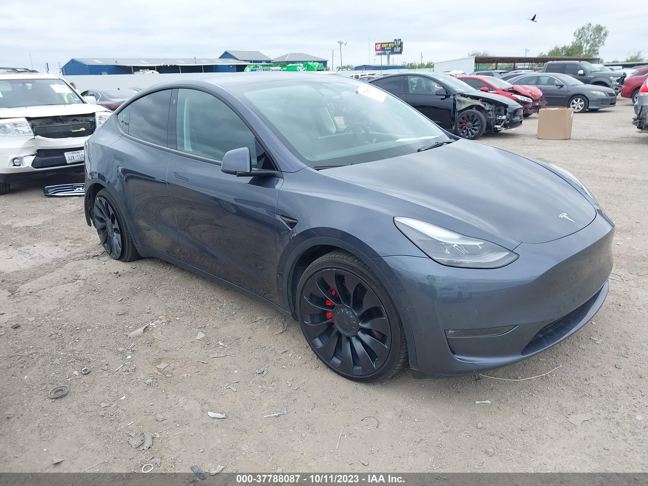 2022 tesla model y