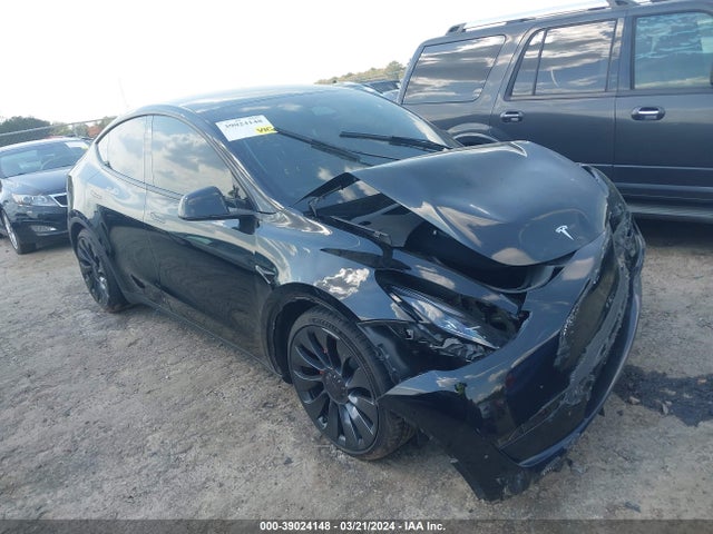 2023 tesla model y