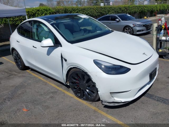 2022 TESLA Model Y