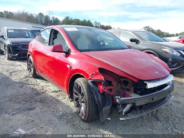 2023 tesla model y