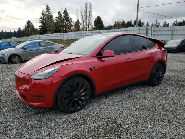 2023 tesla model y