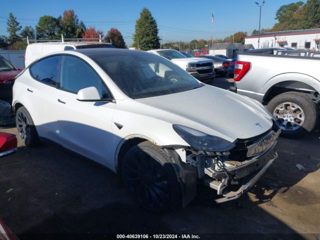 2023 TESLA Model Y