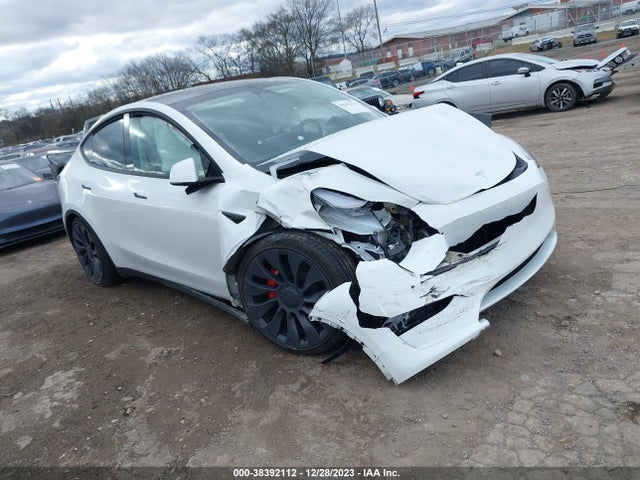 2023 tesla model y