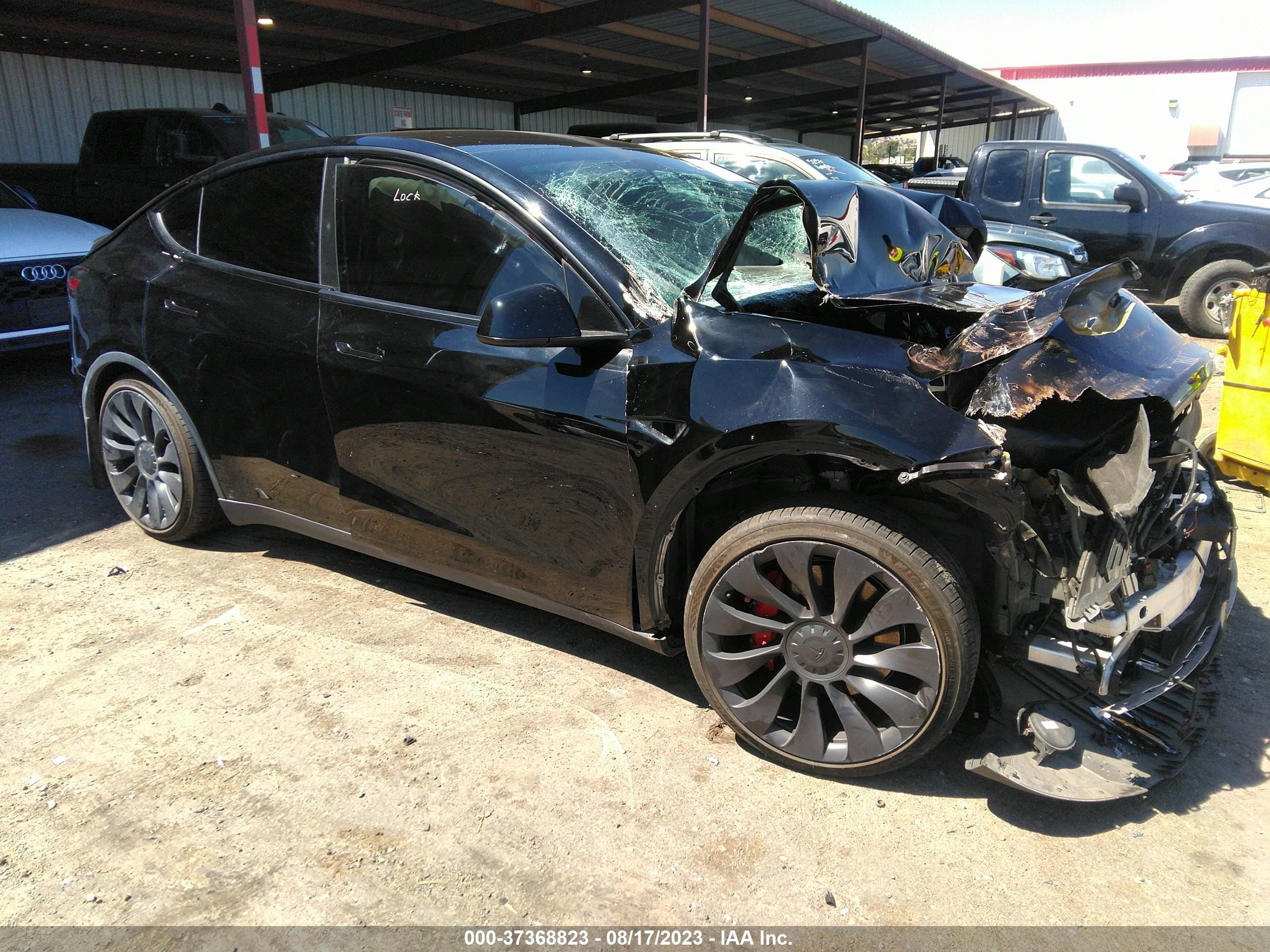 2021 tesla model y