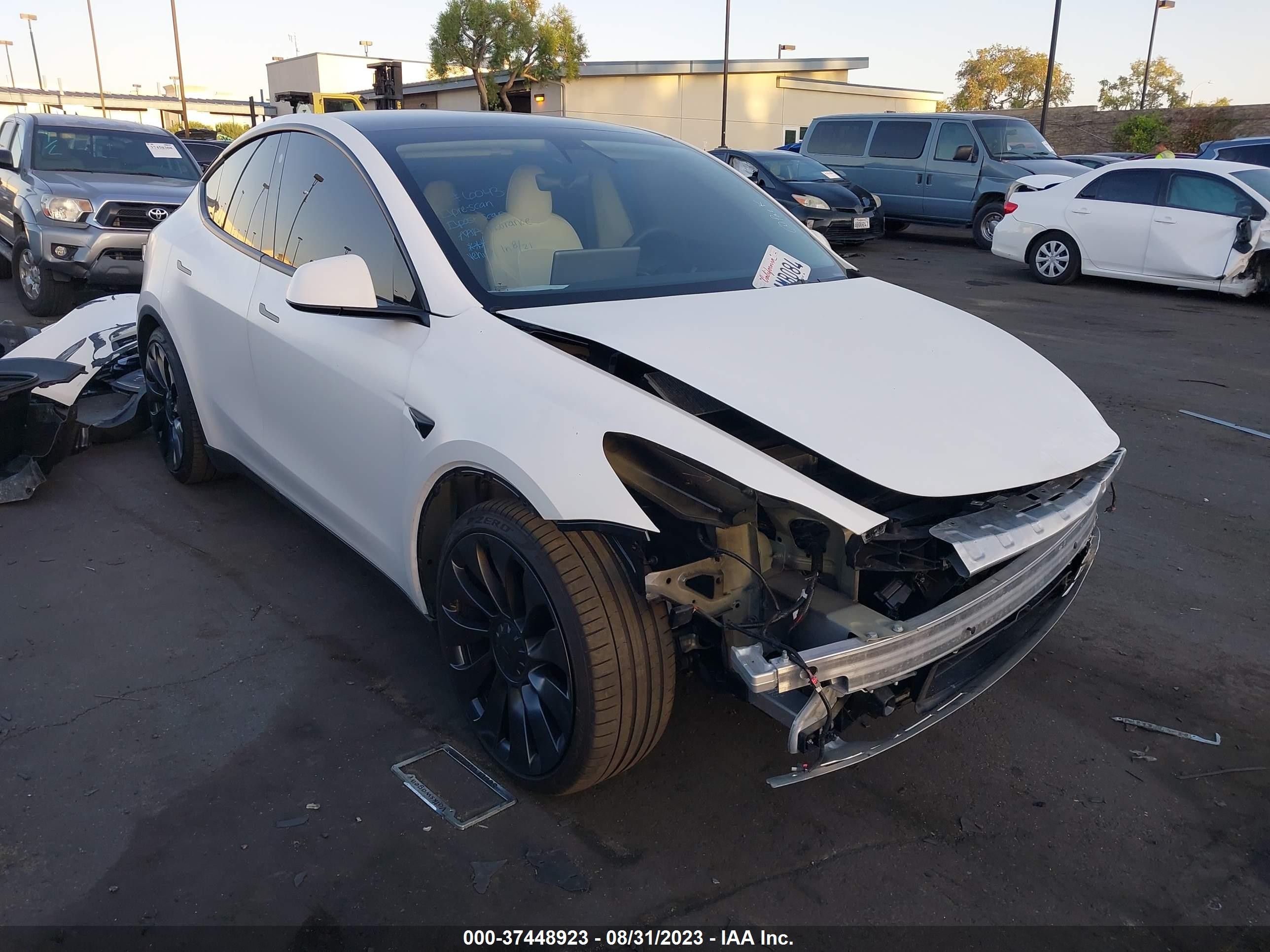 2022 tesla model y