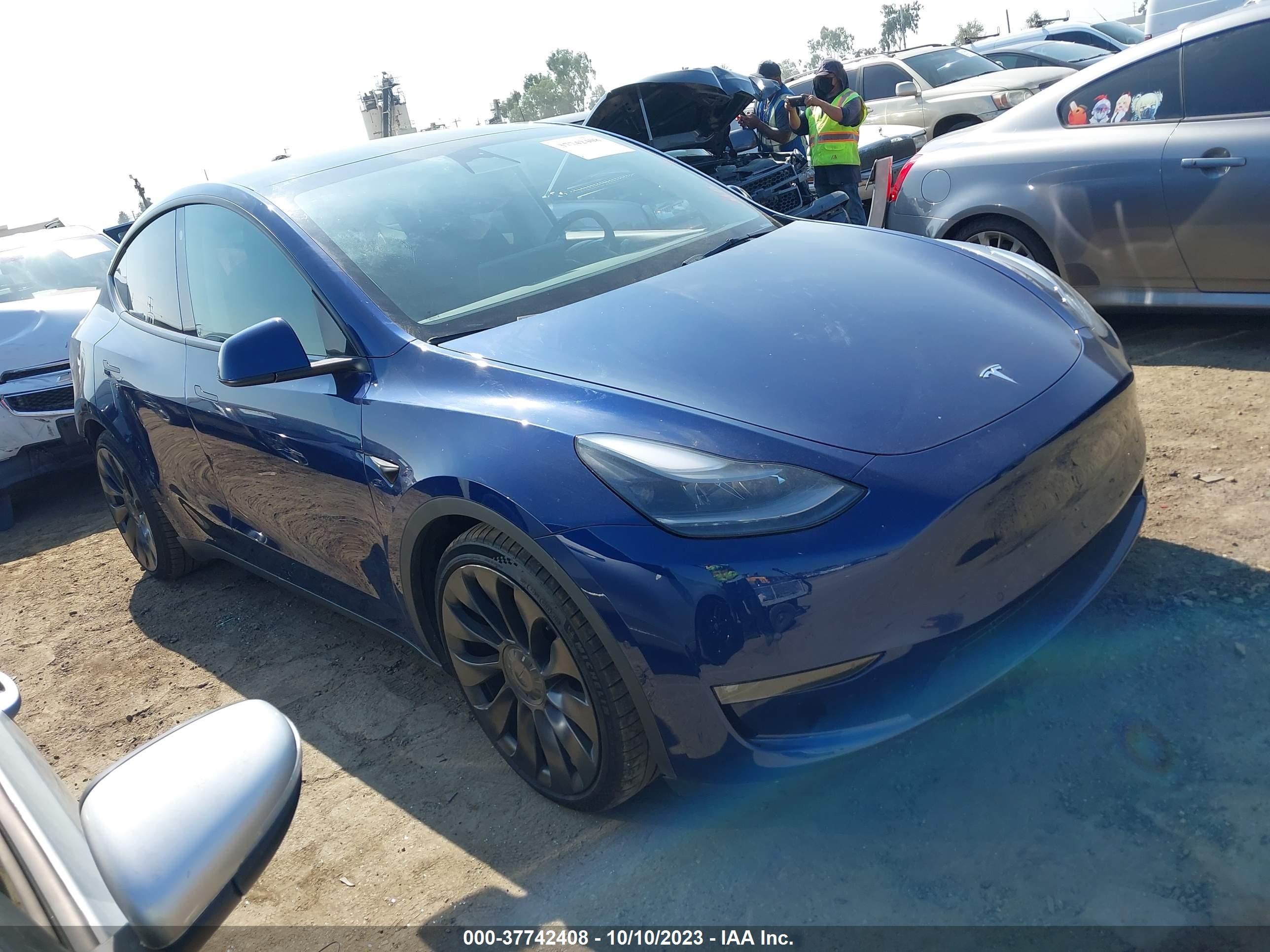 2022 tesla model y