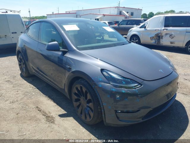 2023 TESLA Model Y