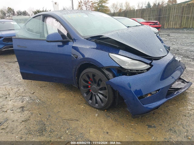 2023 tesla model y