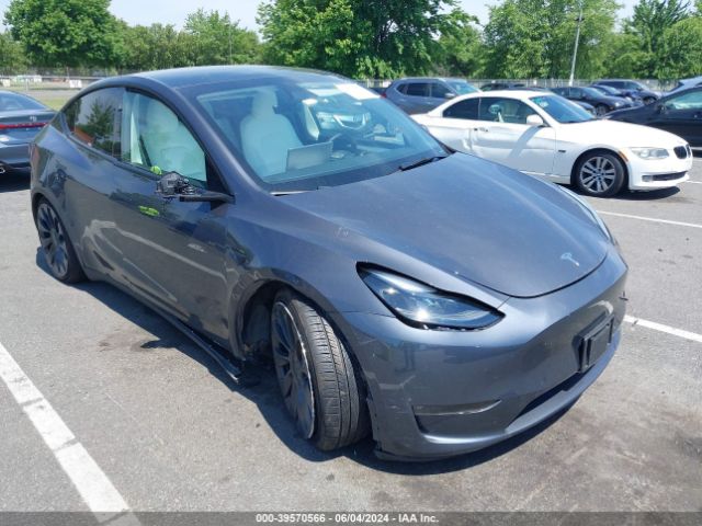 2023 TESLA Model Y