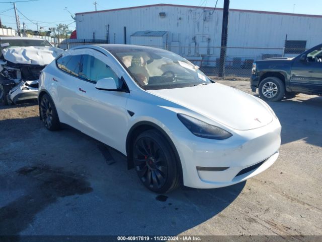 2024 TESLA Model Y