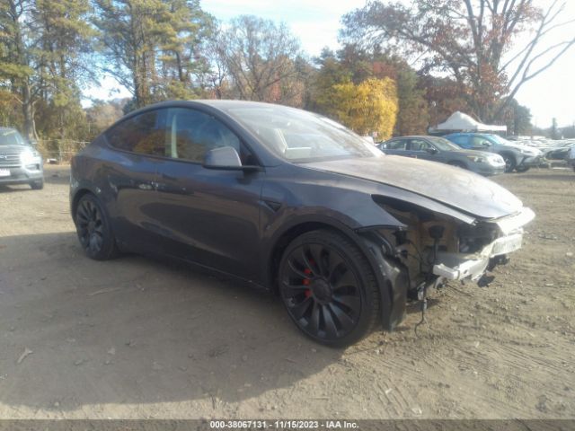 2023 tesla model y