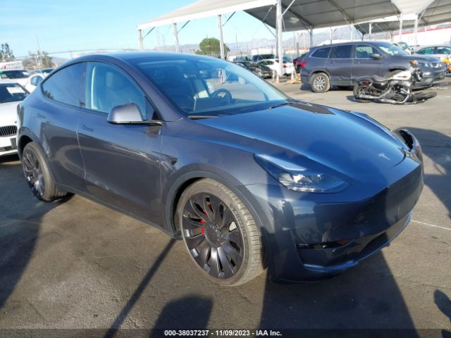 2023 tesla model y