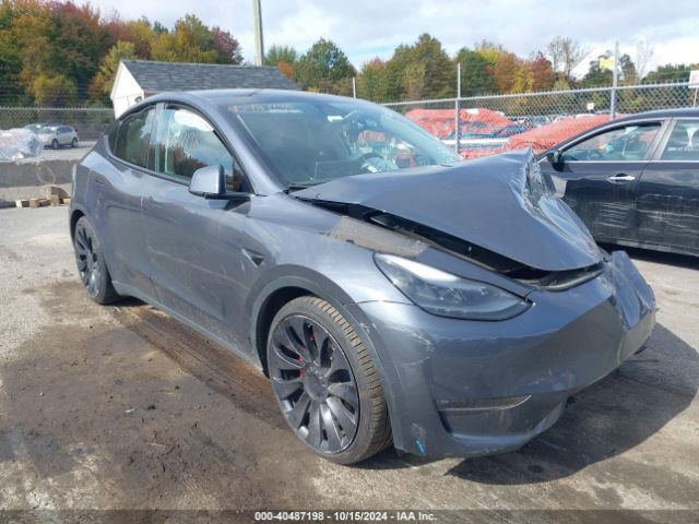 2023 TESLA Model Y