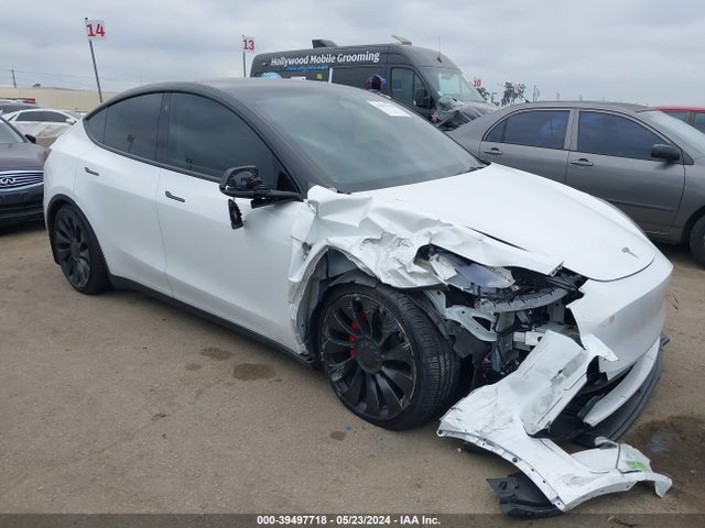 2023 tesla model y
