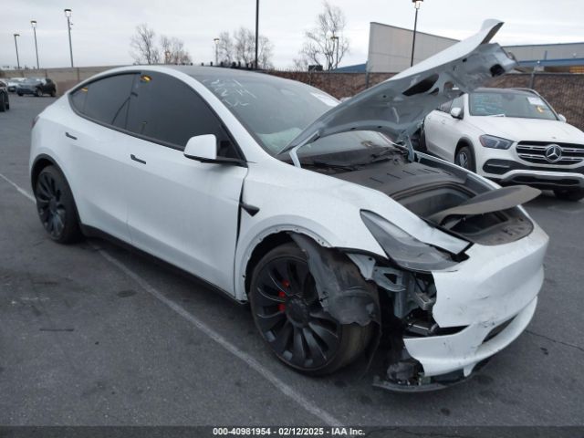 2023 TESLA Model Y