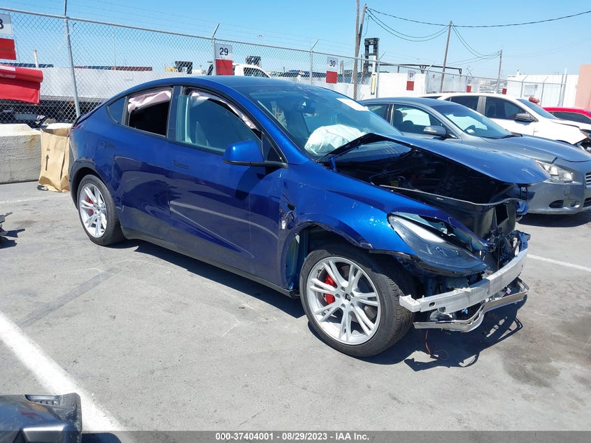 2023 tesla model y