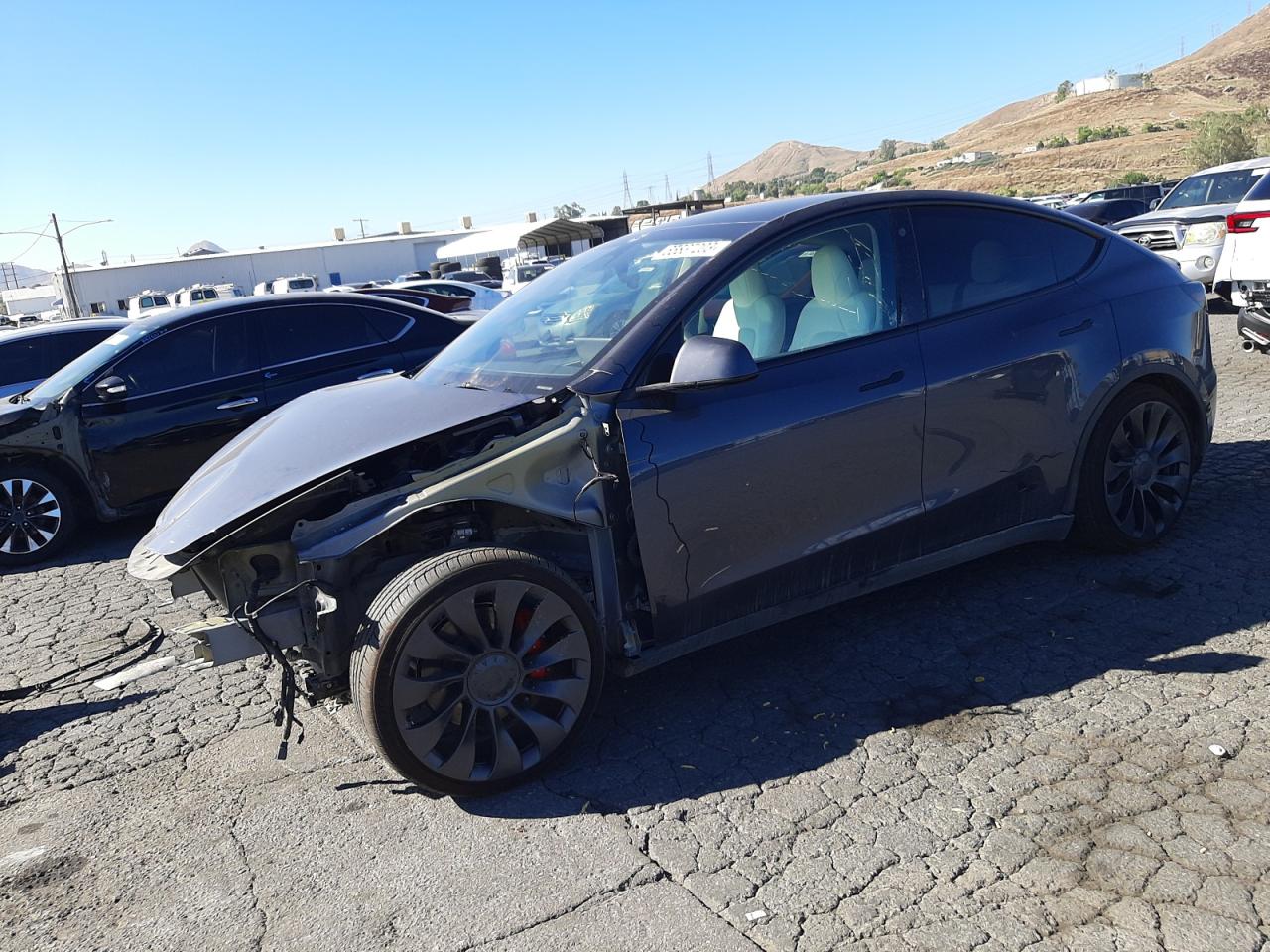 2023 tesla model y