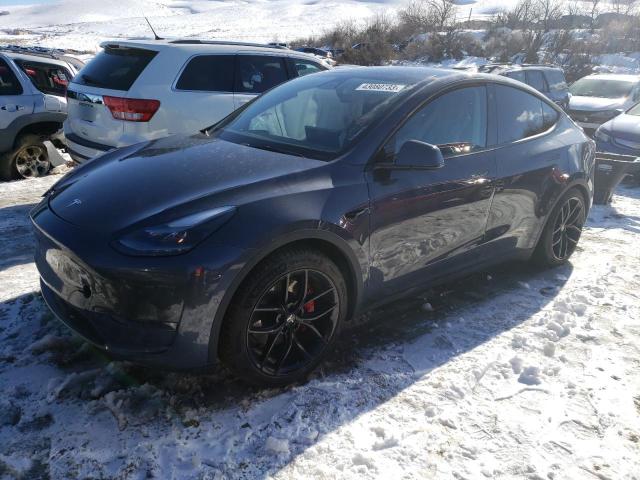 2022 tesla model y