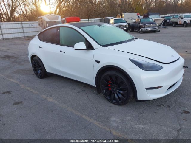 2022 tesla model y