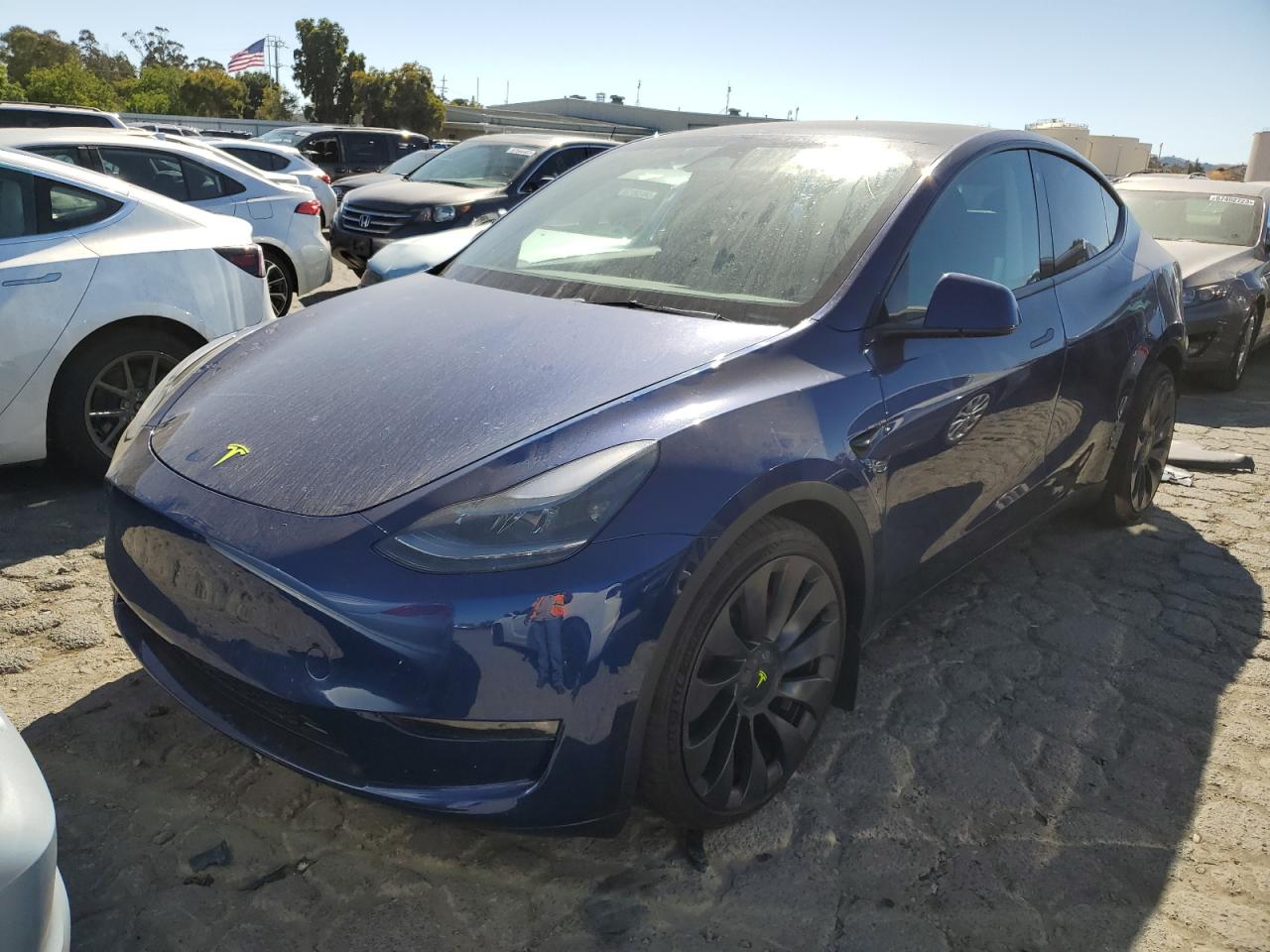 2023 tesla model y