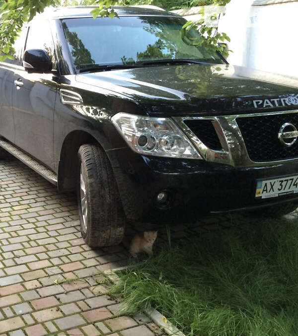 2012 nissan patrol