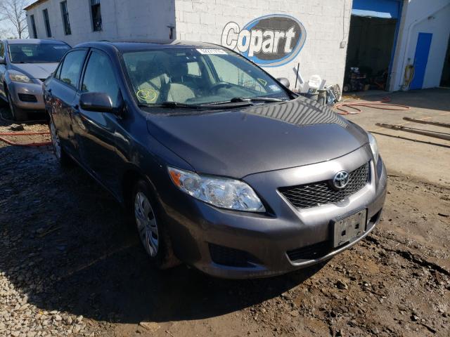 2010 toyota corolla ba