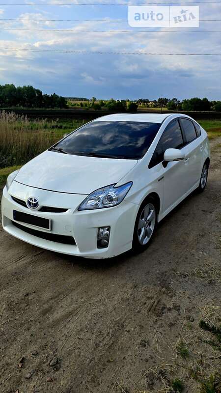 2010 toyota prius