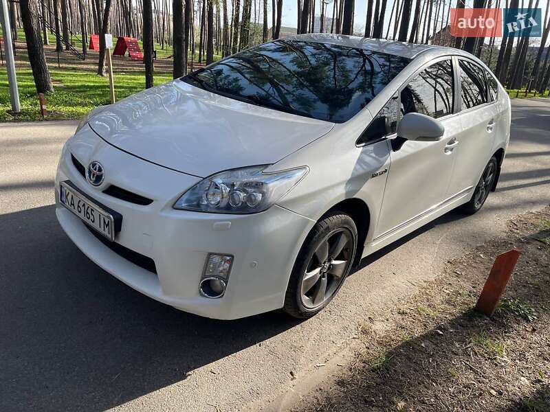 2010 toyota prius