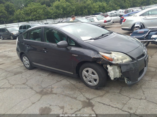 2010 toyota prius