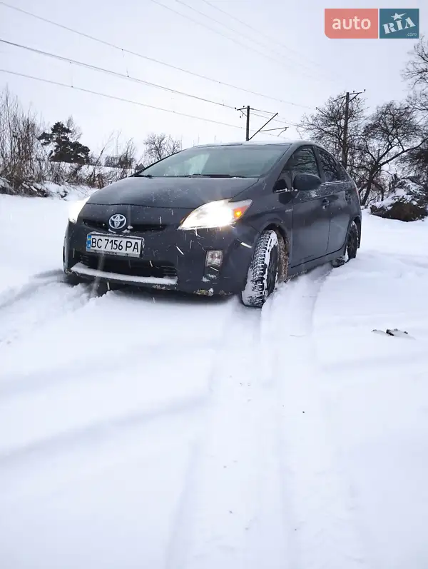 2010 toyota prius