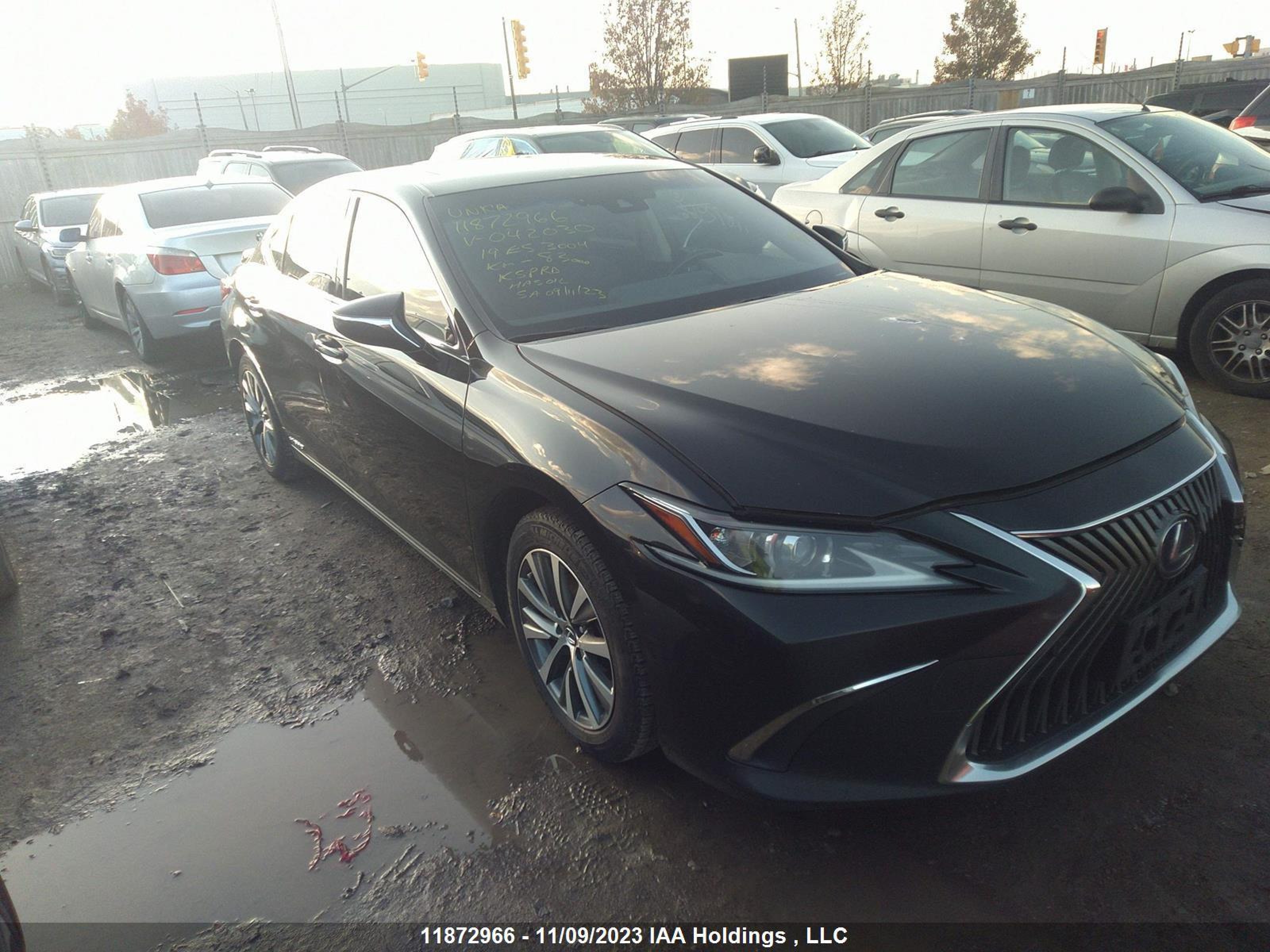 2019 lexus es