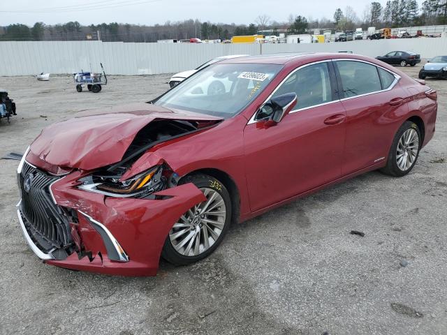 2019 lexus es 300h