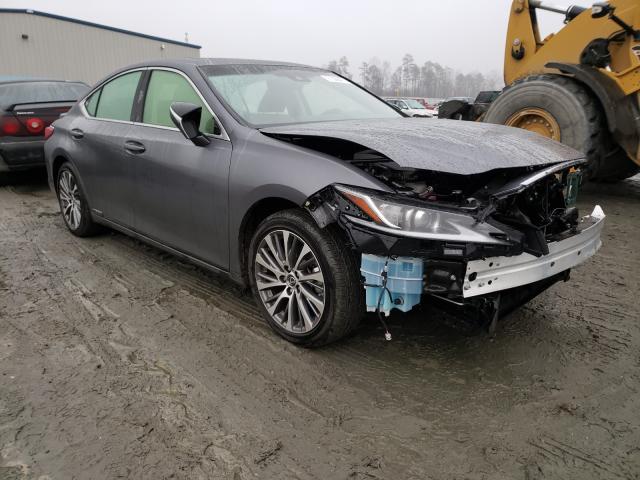 2019 lexus es 300h