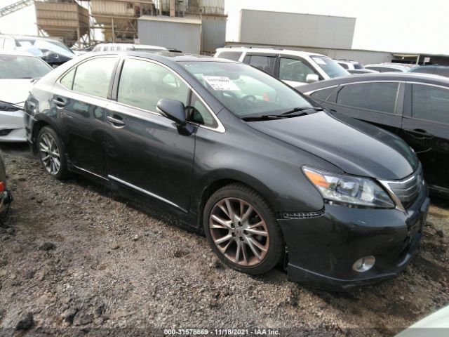 2010 lexus hs 250h