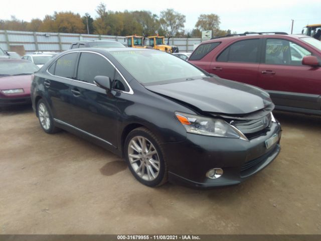 2010 lexus hs 250h