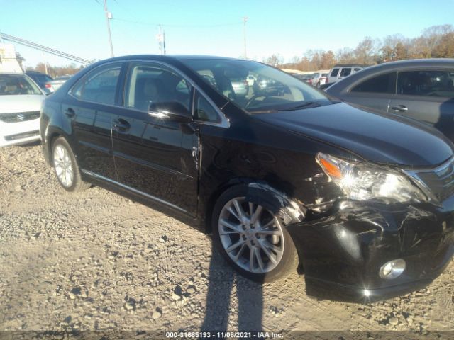 2010 lexus hs 250h