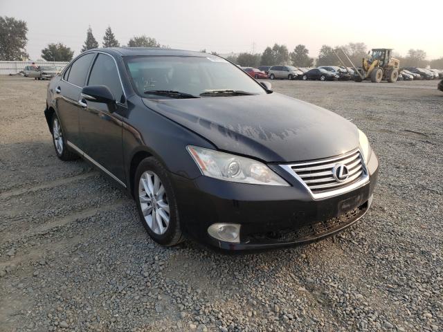 2010 lexus es 350