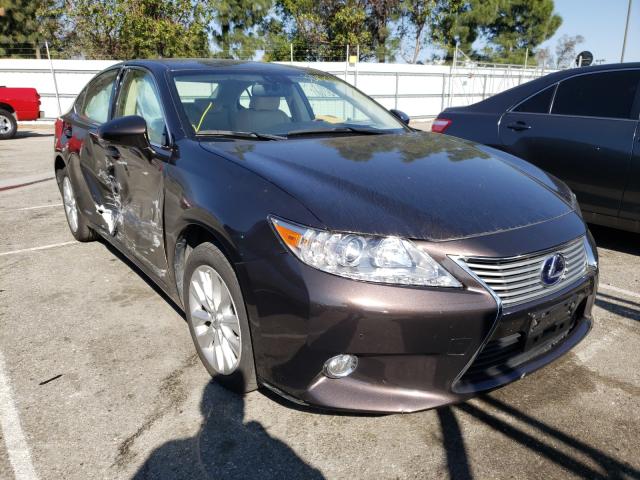 2013 lexus es 300h
