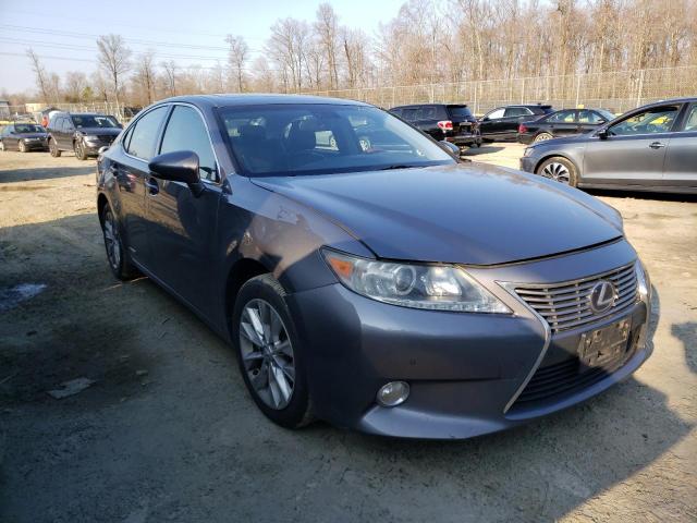 2013 lexus es 300h
