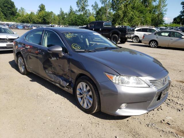 2013 lexus es 300h